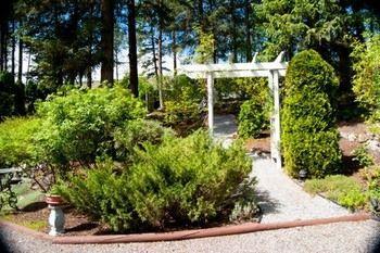 Alexandria House Bed & Breakfast ウェストケロウナ エクステリア 写真